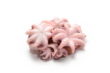 Ahtapot beyaz arkaplanda izole edildi. 