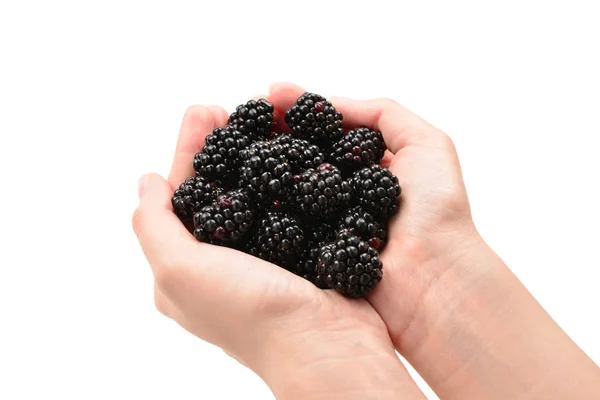 Blackberry kept in hands isolated on white background. — Stock Photo, Image