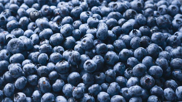 Färsk blåbär bakgrund. Textur blåbär närbild. — Stockfoto