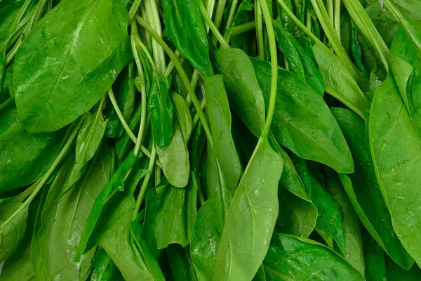 Fresh spinach leaves as background. — Stock Photo, Image
