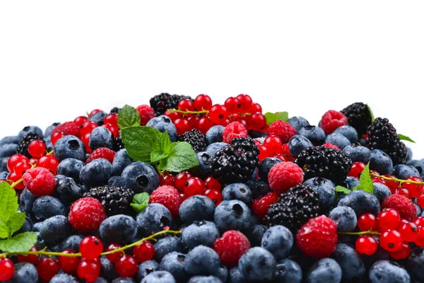 Blackberry, lampone, mirtillo, ribes rosso e menta backgrou — Foto Stock
