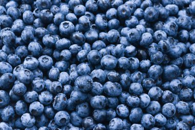 Taze yaban mersini arkaplanı. Doku yaban mersini yakından geliyor..