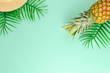 Şapka ve ananas ile yaz arka plan. Kopyalama alanı.