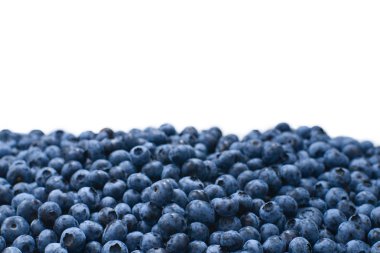 Taze yaban mersini arkaplanı. Doku yaban mersini yakından geliyor..