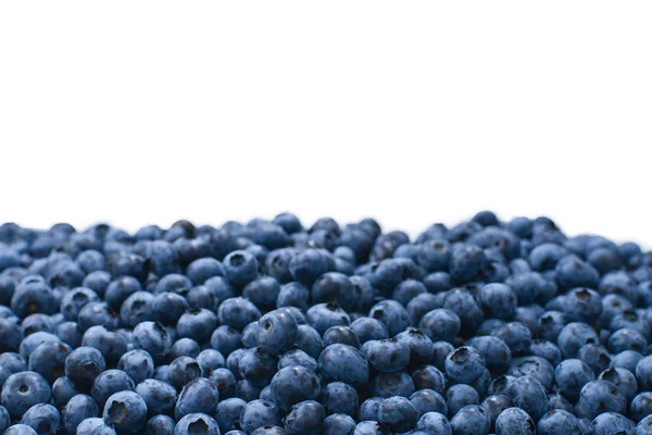 Taze yaban mersini arkaplanı. Doku yaban mersini yakından geliyor..