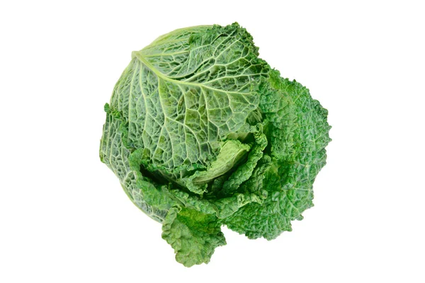 Green cabbage isolated on white background. — Stock Photo, Image