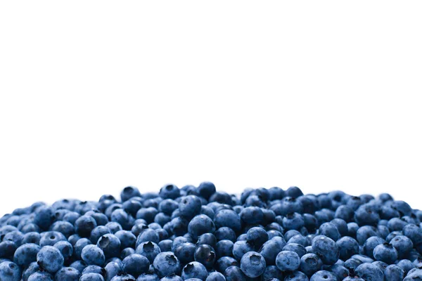 Fresh blueberry background. Texture blueberry berries close up. — Stock Photo, Image