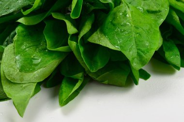 Arkaplan olarak taze ıspanak yaprakları.