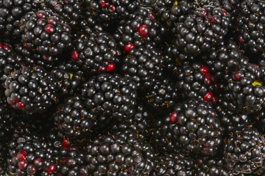 Backberry bir arka plan olarak. Üstte görüntü, 