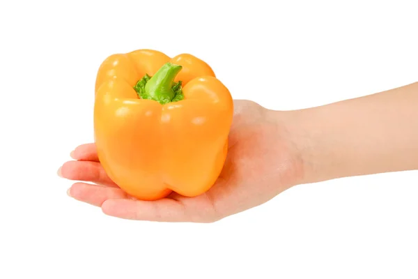 Bell pepper in woman hand isolated on white. — Stock Photo, Image