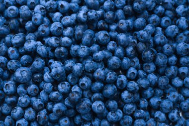 Taze yaban mersini arkaplanı. Doku yaban mersini yakından geliyor..