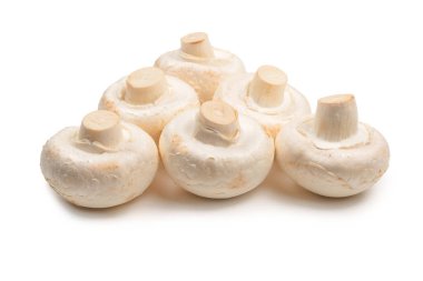 Şampiyon mantarı beyaz arka planda izole edilmiş. Üst görünüm. 