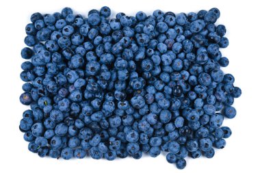 Taze yaban mersini arkaplanı. Doku yaban mersini yakından geliyor..