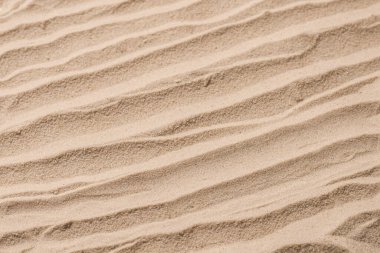 Kum dokusu yakın çekim. Kum tepesi. Üst görünüm.