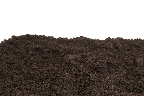 Bitkiler için kara toprak. Üst görünüm. 