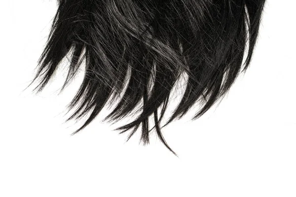 Siyah Saç Uçları Beyaz Arkaplanda Izole Edilmiş — Stok fotoğraf