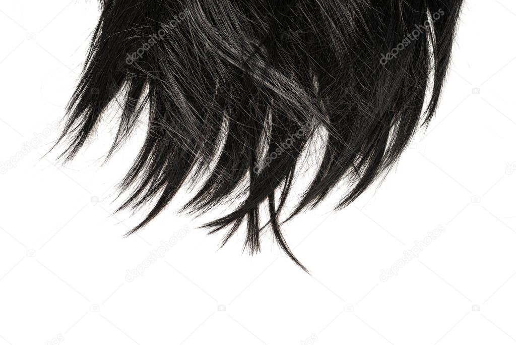 Black hair tips isolated on white background. 