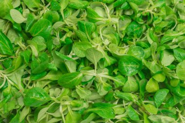 Beyaz arka planda püre salatası. Üst görünüm. 