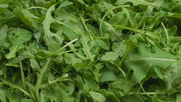 Foglie Fresche Rucola Come Sfondo — Foto Stock