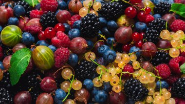 Bektaşi üzümü, yabanmersini, dut, ahududu, beyaz arka planda izole edilmiş beyaz ve kırmızı üzümler. 