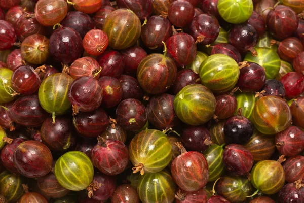 Gooseberry Background Top View — Stock Photo, Image