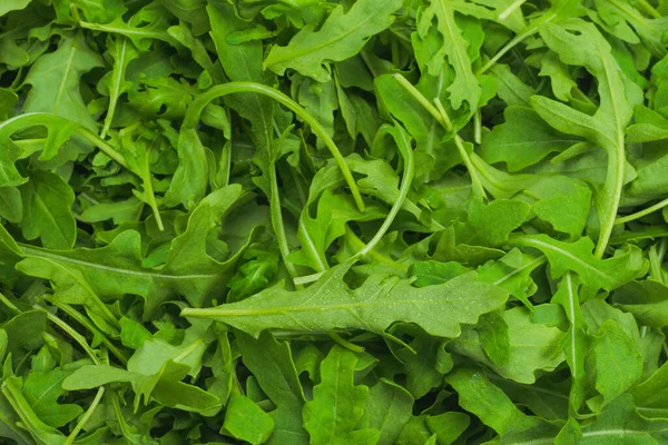 Foglie Fresche Rucola Come Sfondo — Foto Stock