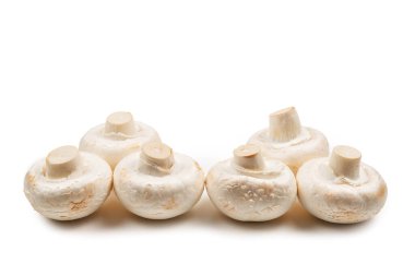 Şampiyon mantarı beyaz arka planda izole edilmiş. Üst görünüm. 