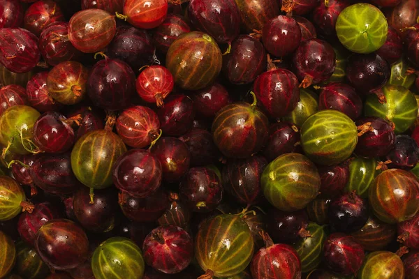 Gooseberry Background Top View — Stock Photo, Image