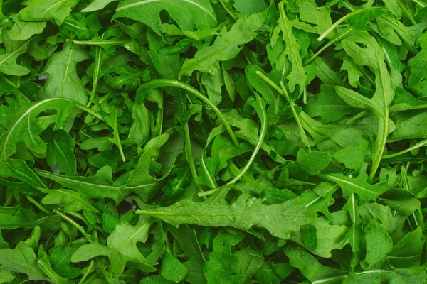 Foglie Fresche Rucola Come Sfondo — Foto Stock