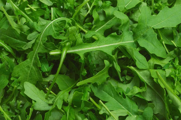 Foglie Fresche Rucola Come Sfondo — Foto Stock