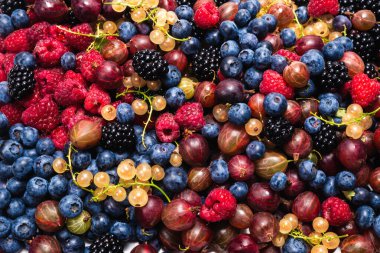 Bektaşi üzümü, yabanmersini, dut, ahududu, beyaz ve kırmızı frenk üzümü arka plan. 
