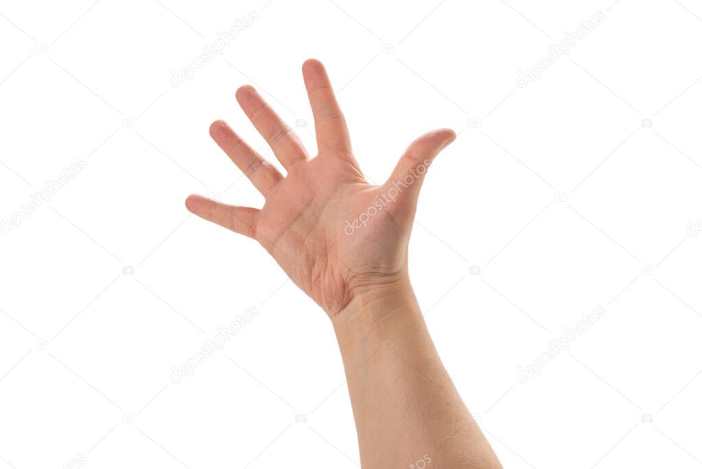 Man hand showing five fingers isolated on white background. 