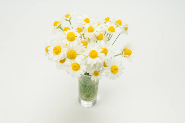 Bouquet of daisies isolated on white background.