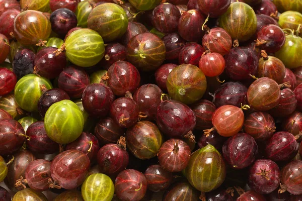 Gooseberry Background Top View — Stock Photo, Image