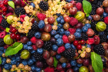 Bektaşi üzümü, yabanmersini, dut, ahududu, beyaz ve kırmızı frenk üzümü arka plan. 