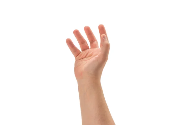 Männliche Hand Isoliert Auf Weißem Hintergrund — Stockfoto