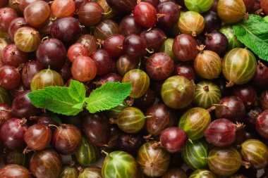 Bektaşi üzümü ve nane arkaplan olarak. Üst görünüm. 