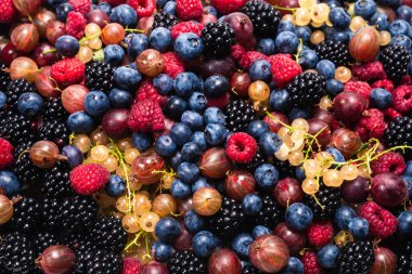 Bektaşi üzümü, yabanmersini, dut, ahududu, beyaz ve kırmızı frenk üzümü arka plan. 