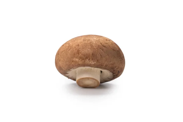 Tasty Mushroom Isolated White Background — Stock Photo, Image