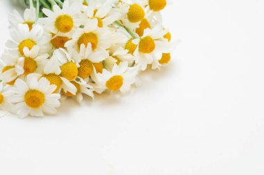 Beyaz arka planda izole edilmiş bir buket papatya..