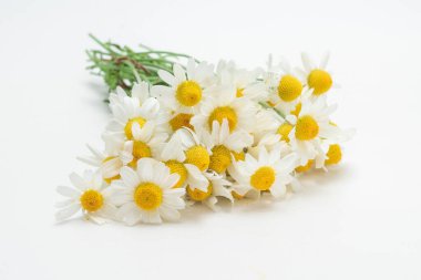 Beyaz arka planda izole edilmiş bir buket papatya..