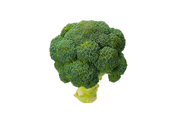 Verse Smakelijke Broccoli Geïsoleerd Witte Achtergrond — Stockfoto