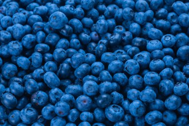 Taze yaban mersini arkaplanı. Doku yaban mersini yakından geliyor..