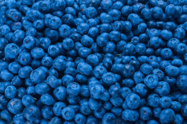 Taze yaban mersini arkaplanı. Doku yaban mersini yakından geliyor..