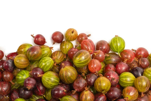 Gooseberry Isolated White Background Top View — Stock Photo, Image