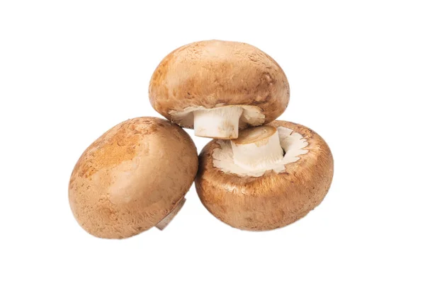 Champignon Savoureux Isolé Sur Fond Blanc — Photo