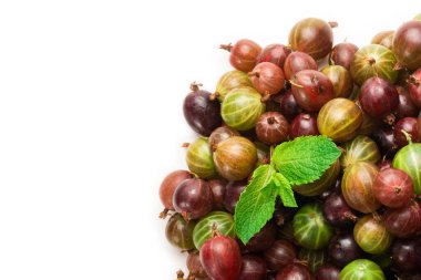 Bektaşi üzümü ve nane arkaplan olarak. Üst görünüm. 