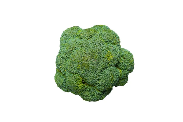Beyaz Arka Planda Izole Edilmiş Taze Lezzetli Brokoli — Stok fotoğraf