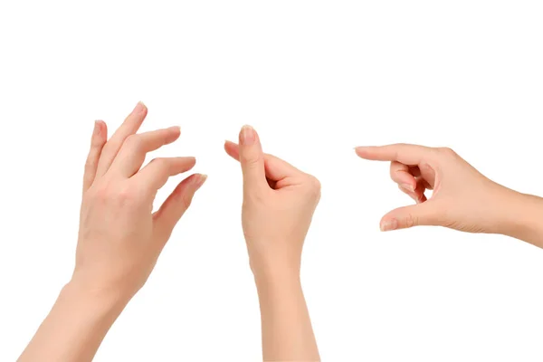 Hand Woman Hold Something Isolated White — Stock Photo, Image