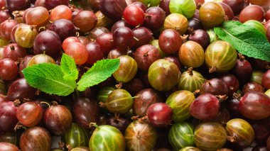 Bektaşi üzümü ve nane arkaplan olarak. Üst görünüm. 